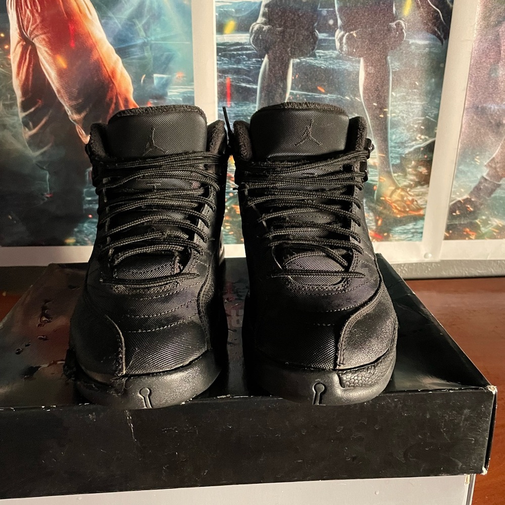 Jordan 12 retros Color way black